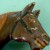 Koken Child's Horse Head - Image 2