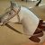 paidar style horse head new carved